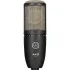 AKG P220 High-Performance Large Diaphragm True Condenser Microphone